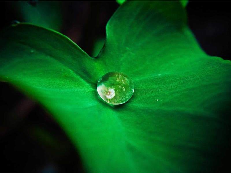 Abstract visualization of AI and neural networks